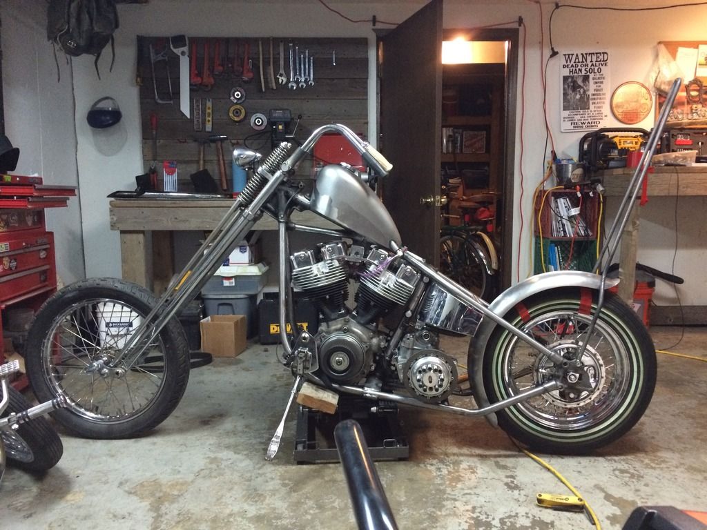 springer shovelhead